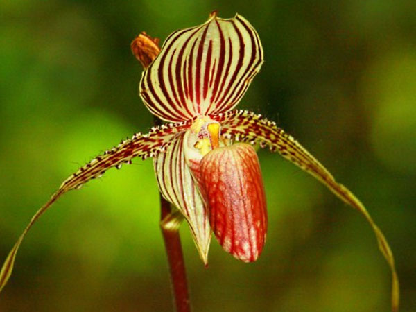 Ảnh bìa bài viết 576560