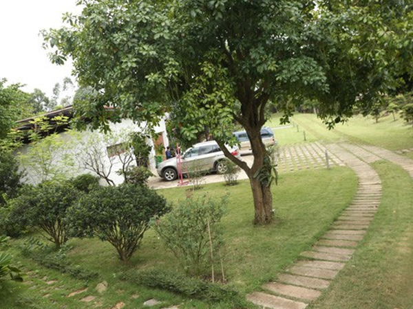 Ảnh bìa bài viết 576582
