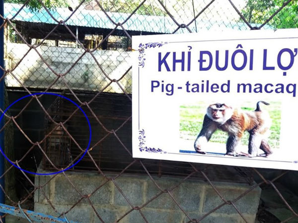 Ảnh bìa bài viết 577080