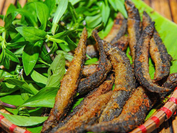 Ảnh bìa bài viết 577867
