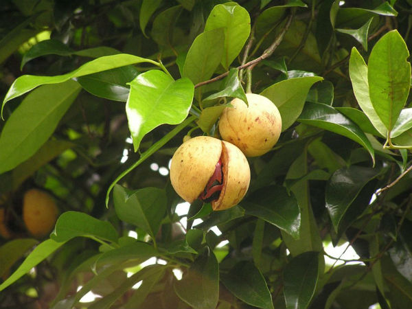 Ảnh bìa bài viết 578608