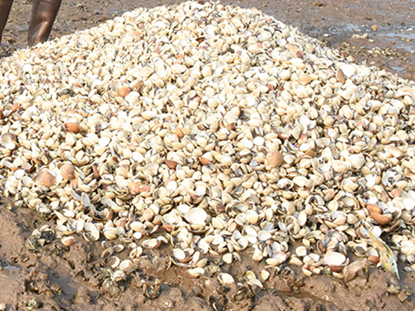 Ảnh bìa bài viết 582226