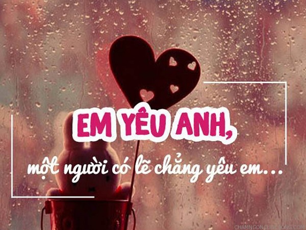 Ảnh bìa bài viết 583377