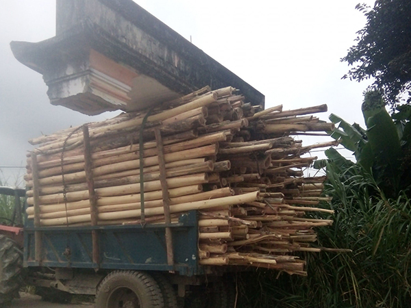 Ảnh bìa bài viết 584057