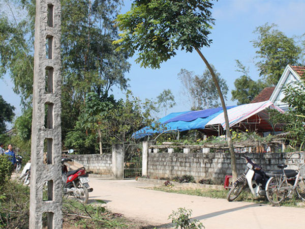 Ảnh bìa bài viết 584240