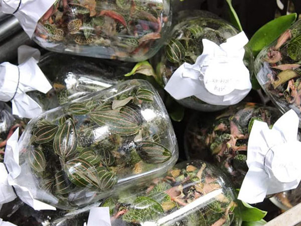 Ảnh bìa bài viết 585485