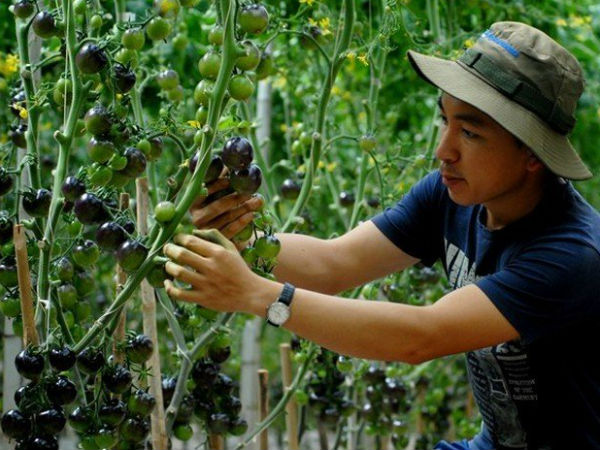 Ảnh bìa bài viết 585433