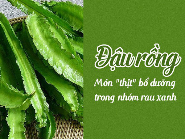 Ảnh bìa bài viết 585851