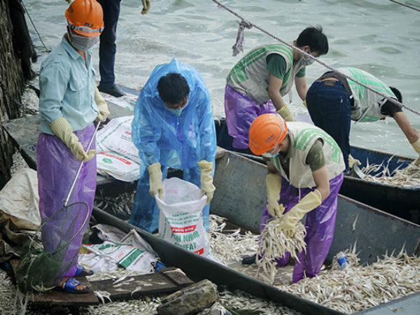 Ảnh bìa bài viết 587698