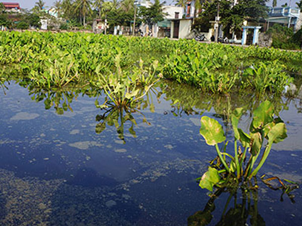 Ảnh bìa bài viết 587631