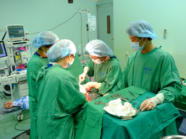 Ảnh bìa bài viết 588330