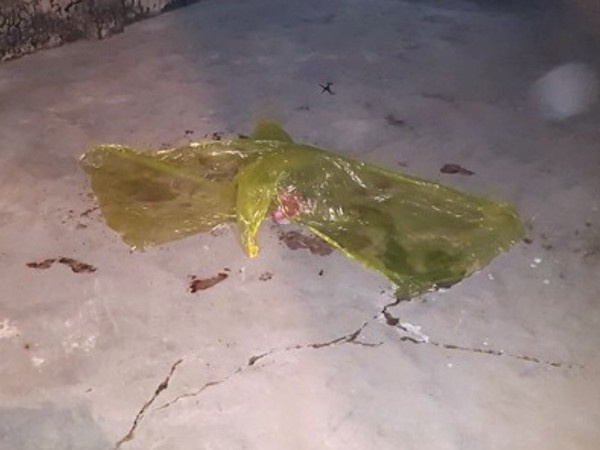 Ảnh bìa bài viết 589066