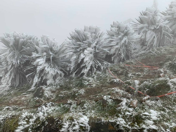 Ảnh bìa bài viết 590212