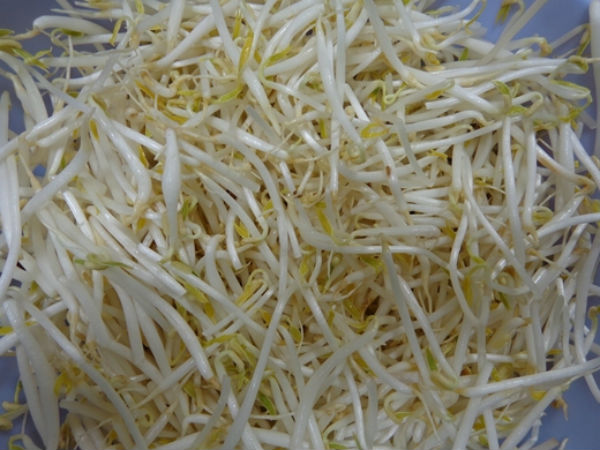 Ảnh bìa bài viết 590535