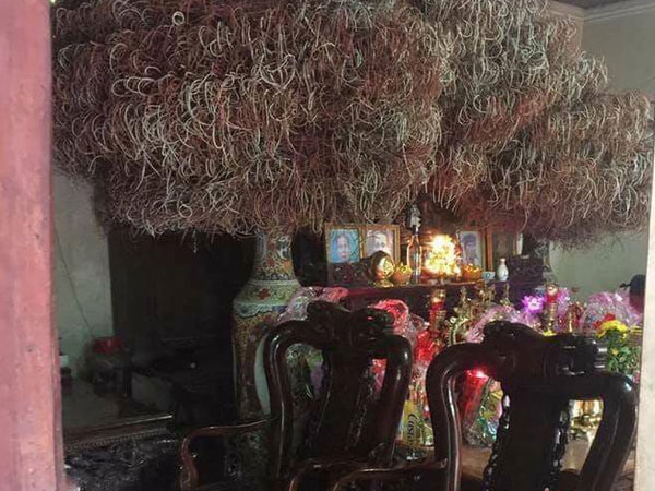 Ảnh bìa bài viết 591659