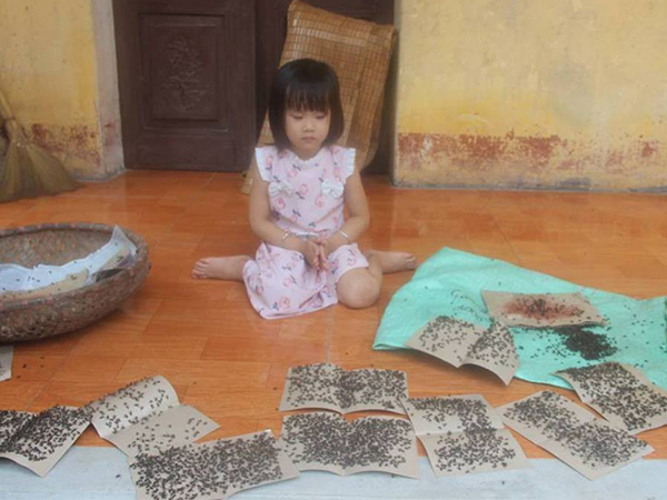Ảnh bìa bài viết 593089