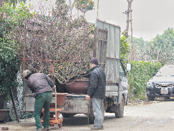 Ảnh bìa bài viết 593797