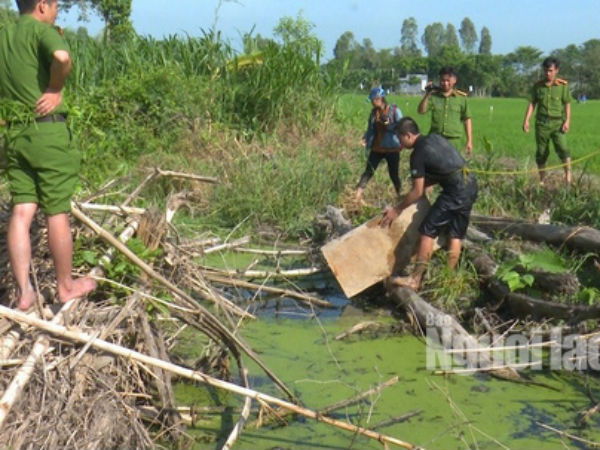 Ảnh bìa bài viết 594168