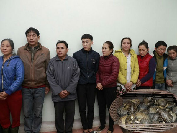 Ảnh bìa bài viết 594195