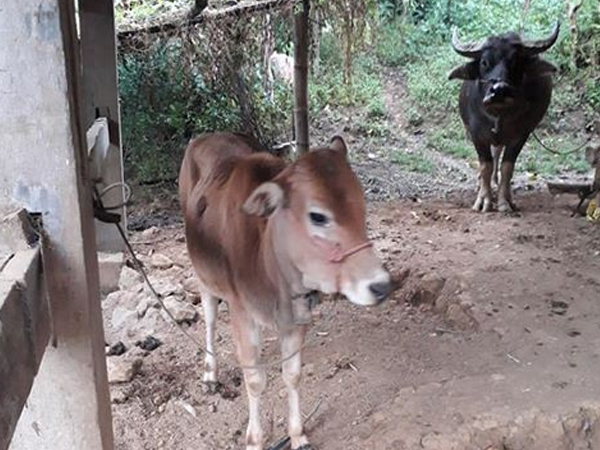 Ảnh bìa bài viết 594593