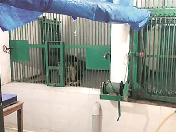 Ảnh bìa bài viết 594566