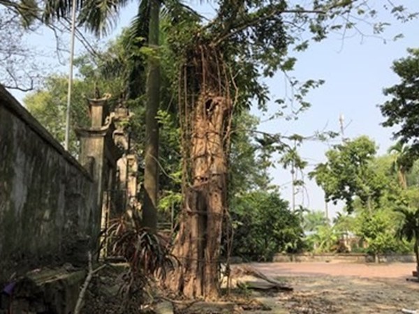 Ảnh bìa bài viết 595735