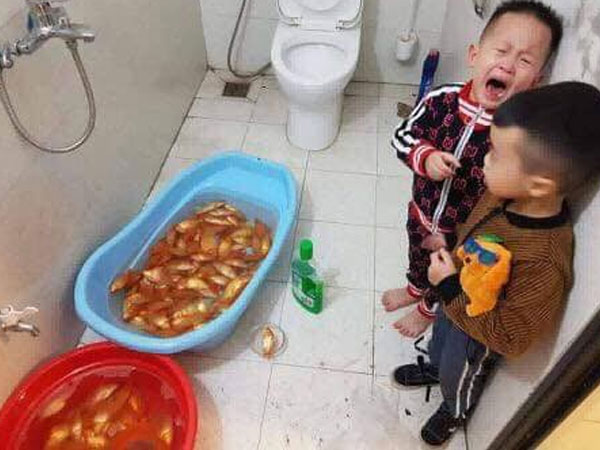 Ảnh bìa bài viết 595925