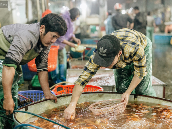 Ảnh bìa bài viết 596018