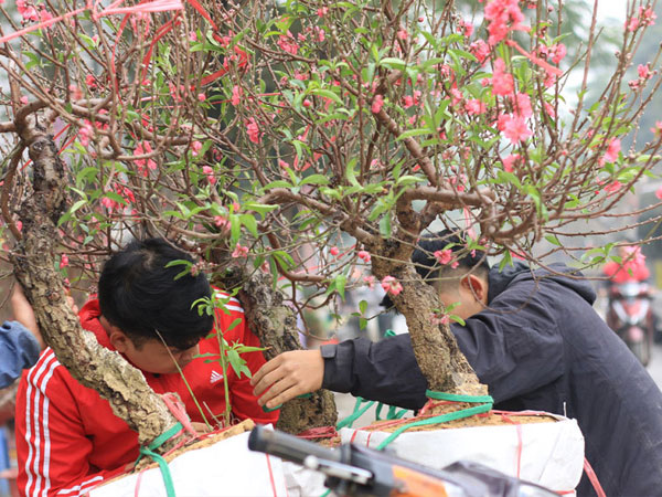 Ảnh bìa bài viết 596172