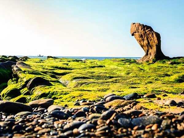 Ảnh bìa bài viết 596770