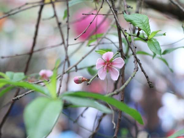 Ảnh bìa bài viết 598499