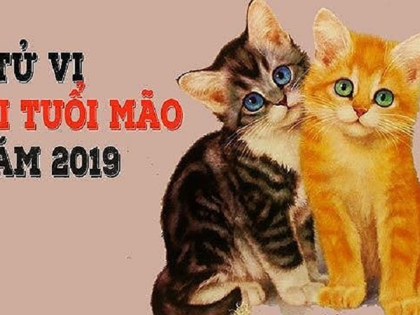 Ảnh bìa bài viết 598991