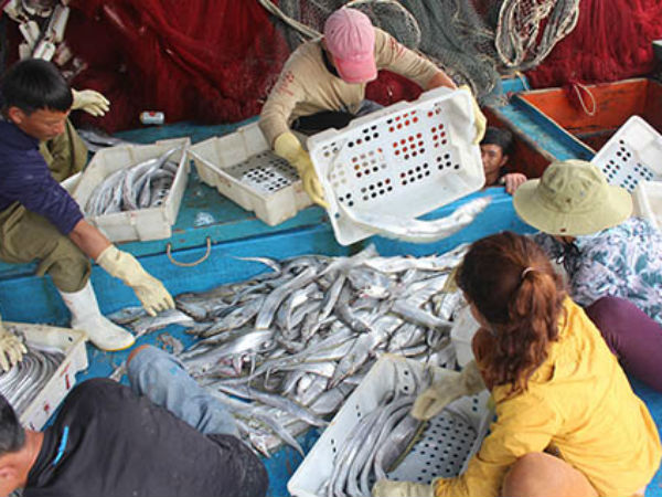Ảnh bìa bài viết 599477