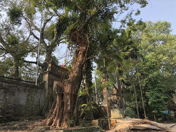 Ảnh bìa bài viết 599598