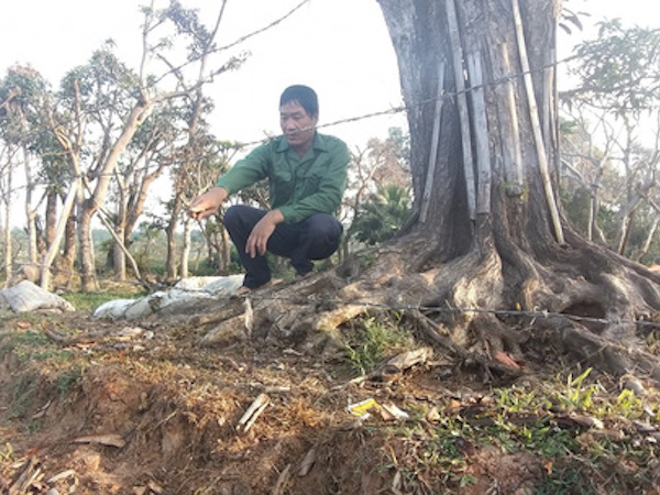 Ảnh bìa bài viết 600449