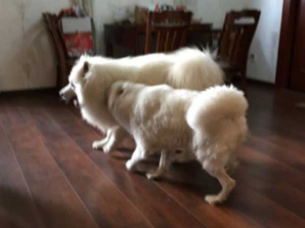 Ảnh bìa bài viết 602143