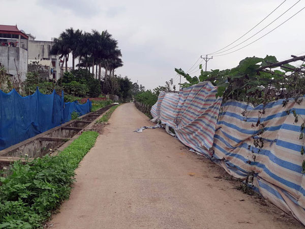 Ảnh bìa bài viết 602465
