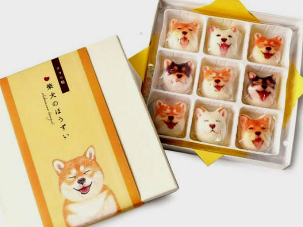 Ảnh bìa bài viết 603217