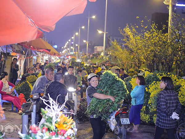 Ảnh bìa bài viết 603516