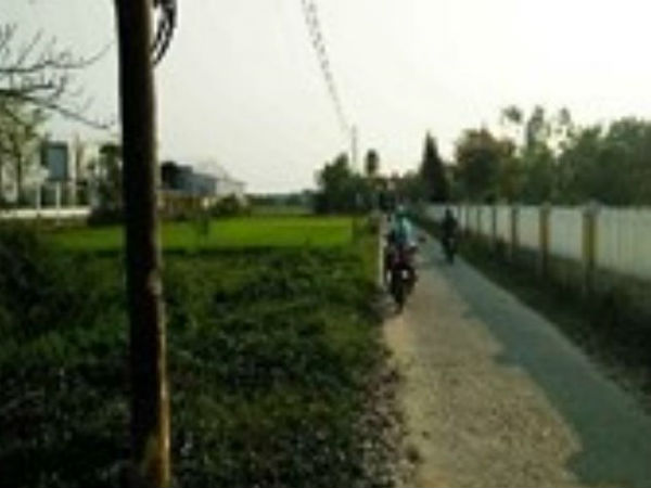 Ảnh bìa bài viết 603658