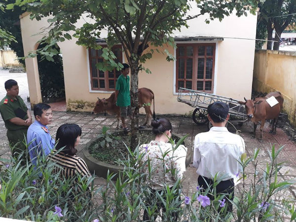 Ảnh bìa bài viết 604695