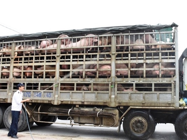 Ảnh bìa bài viết 604945