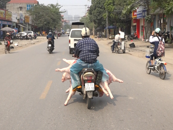 Ảnh bìa bài viết 604978