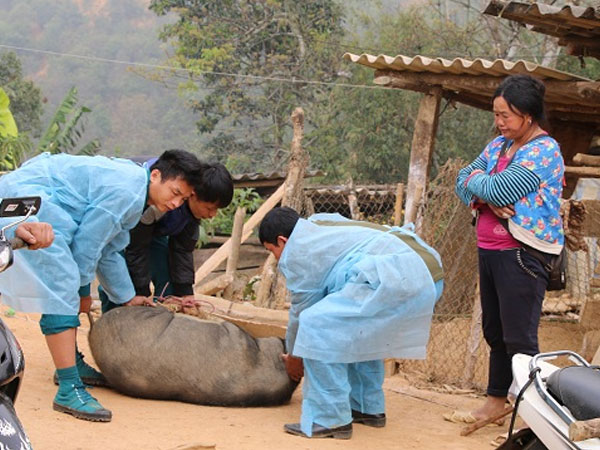 Ảnh bìa bài viết 605497