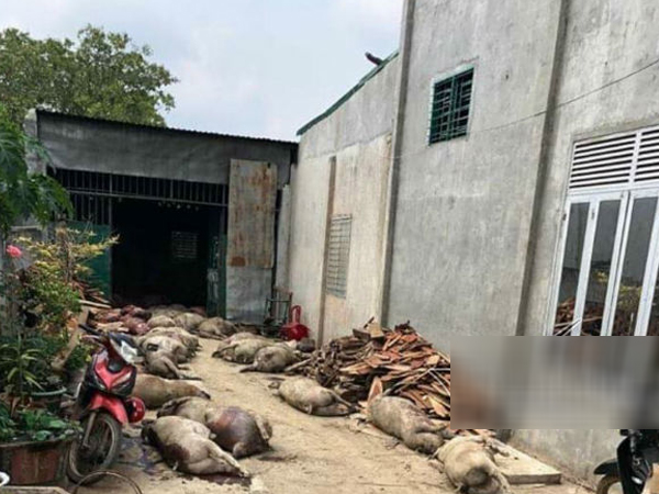 Ảnh bìa bài viết 607304