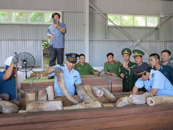 Ảnh bìa bài viết 608140