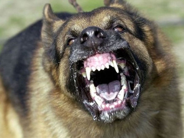 Ảnh bìa bài viết 609424