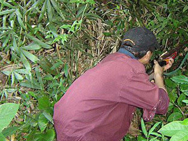 Ảnh bìa bài viết 610232