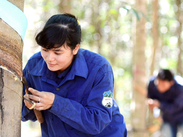 Ảnh bìa bài viết 614697