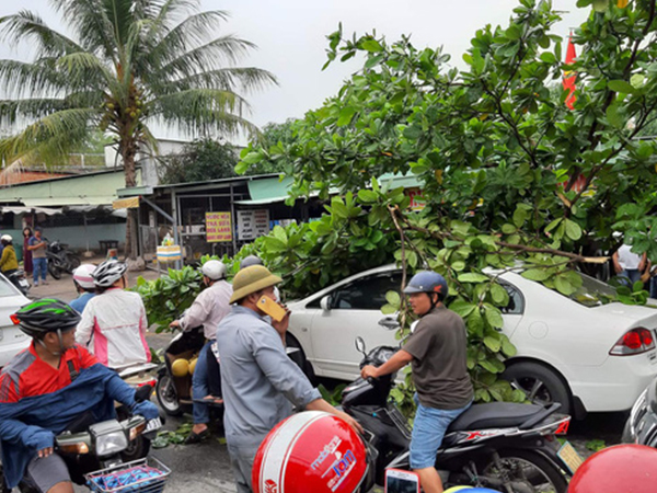 Ảnh bìa bài viết 614931
